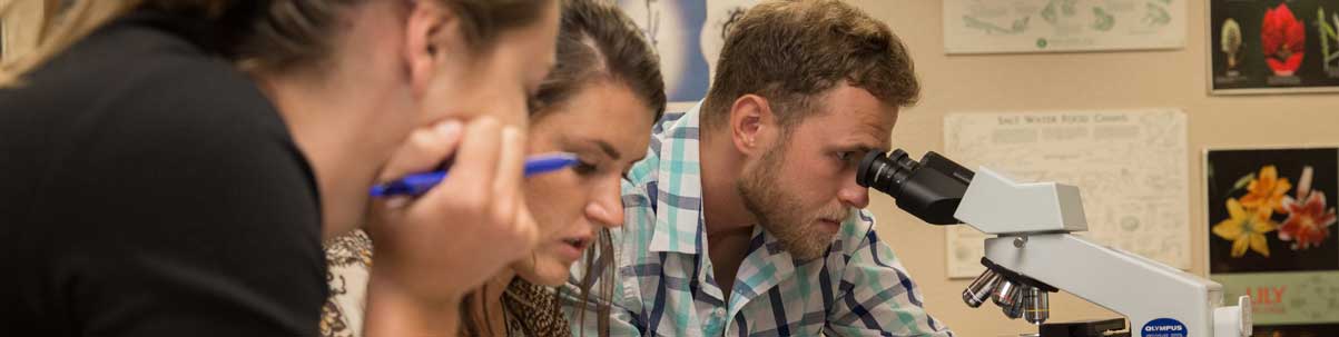 students working in a lab