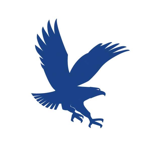 Embry-Riddle blue eagle logo